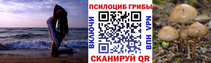 наркотики Воскресенск Галлюциногенные грибы мицелий